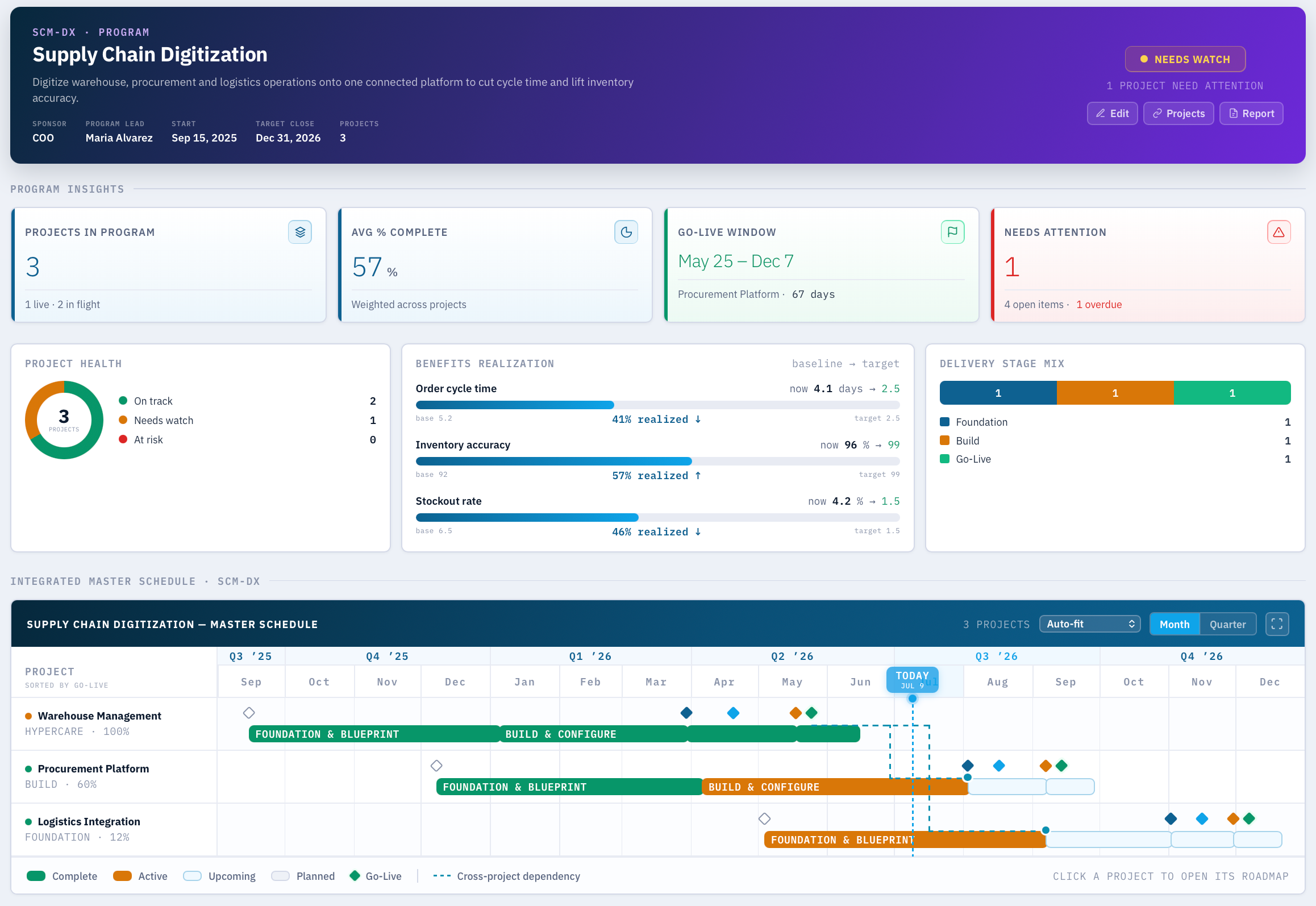 Portfolio Office Programs view